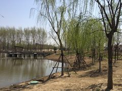 -东郊湿地公园