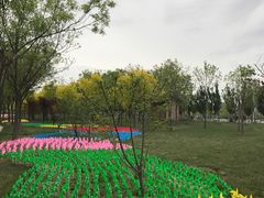 -武清南湖绿博园