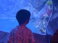 -太平洋海底世界