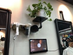-AFA Hair studio·女士发型设计