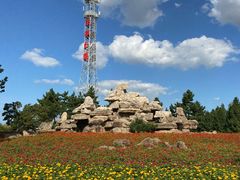 -羊亭河湿地公园