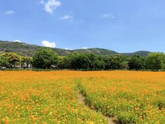 -长广溪湿地公园