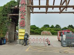 -塘沽森林公园