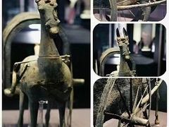 -贵州省博物馆(新馆)