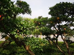 -王府井奥莱临潼小镇(临潼店)