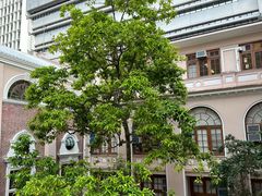-香港大学