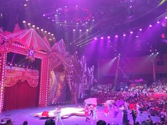 -珠海横琴长隆《卡卡虎奇遇记》