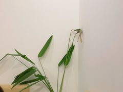 -野路甜点铺(松柏路店)