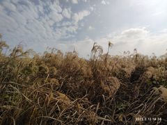-光明小镇欢乐田园