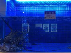 -金苑海鲜酒家(来魅力店)