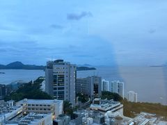 -香港大学