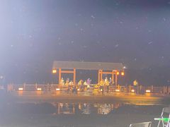 -长田漾湿地公园