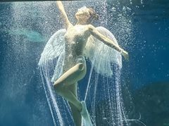 -海合安武汉极地海洋公园