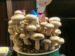 -捞王锅物料理(凯旋路店)