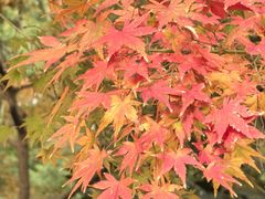 -共青国家森林公园-售票处