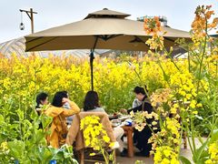 -中国天府农业博览园