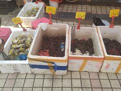 -西双版纳集贸市场