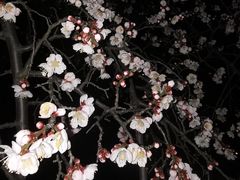 -白塘生态植物园
