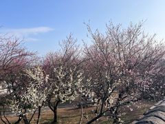 -台州府城(江南长城)