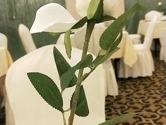 -深圳维景酒店-维景轩