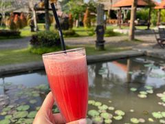 -Bebek Joni Restaurant