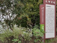 -大柳草原