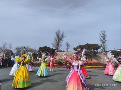 -荷兰花海