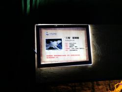 -未来动物城动物主题公园(大悦城店)