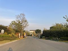 -空港花田景区