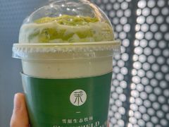 -茉酸奶(春熙路店)