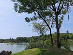 -宜兴龙背山森林公园