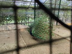 -北京鹿世界主题园