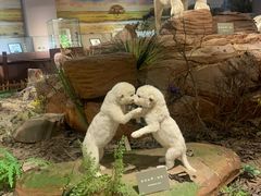 -陕西自然博物馆