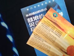 -贝壳梦幻世界
