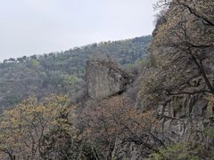 -北京鹫峰国家森林公园