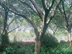 -白鹭洲公园