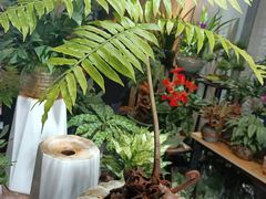 -桂林市花鸟市场