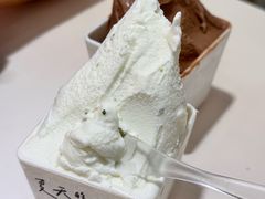 -野人先生现做冰淇淋(北京环宇荟店)