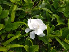 -厦门帝元维多利亚大酒店(环岛路黄厝海滩店)