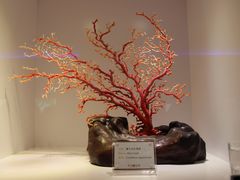 -台北故宫博物院