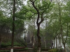 -莫干山风景区