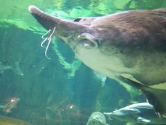 -华夏文旅海洋公园