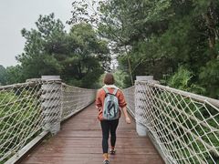 -铁山坪森林公园