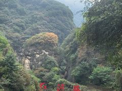 -陕西省红河谷森林公园