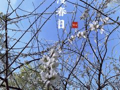 -三里河公园