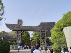 -溱湖国家湿地公园