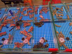 -巽寮印象美食部落餐厅·海鲜·地方特色菜(惠州体验店)