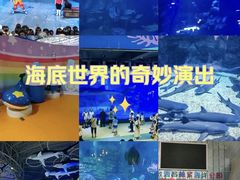 -烟台海昌鲸鲨海洋公园