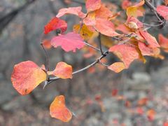 -北京西山国家森林公园