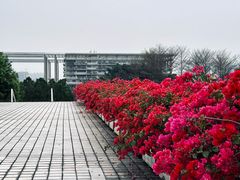 -广东工业大学(大学城校区)